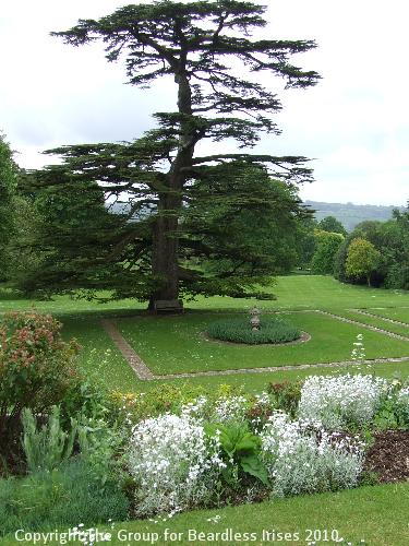 Knightshayes (07)